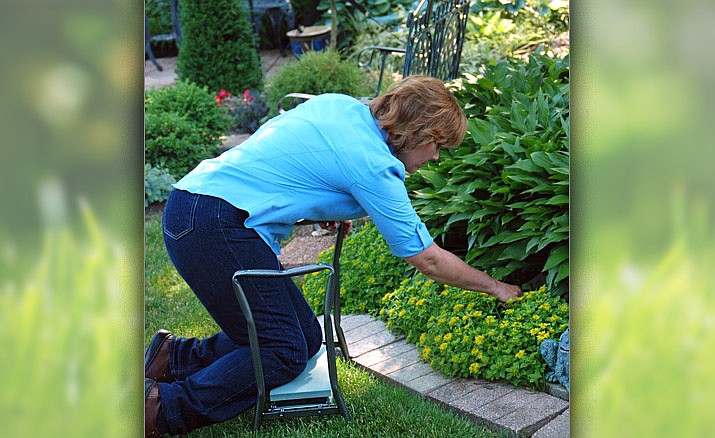 Kneelers with built-in handles make moving up and down easier, protect joints and allow you to garden longer. (MelindaMyers.com/Courtesy)
