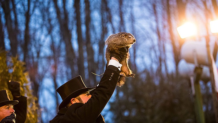 Punsutawney Phil saw his shadow on Thursday, Feb. 2, meaning six more weeks of winter weather. (Photo by Chris Flook, cc-by-sa-4.0, https://bit.ly/3oj6HiS)