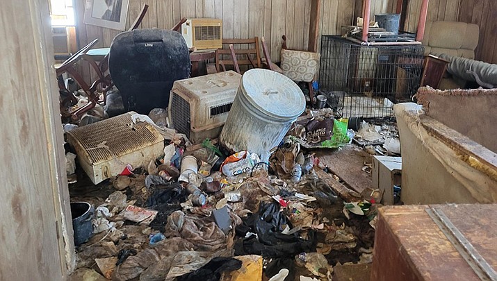 This photo shows the interior of one of the homes where Betty Fuchsel allegedly hoarded dogs. (MCSO photo)