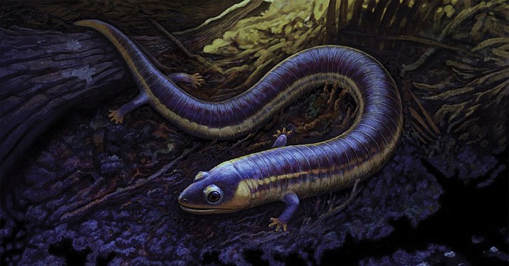 Artistic reconstruction of Funcusvermis gilmorei in the subtropical forest of Petrified Forest National Park around 220 million years ago. (Artwork by Andrey Atuchi/National Park Service)