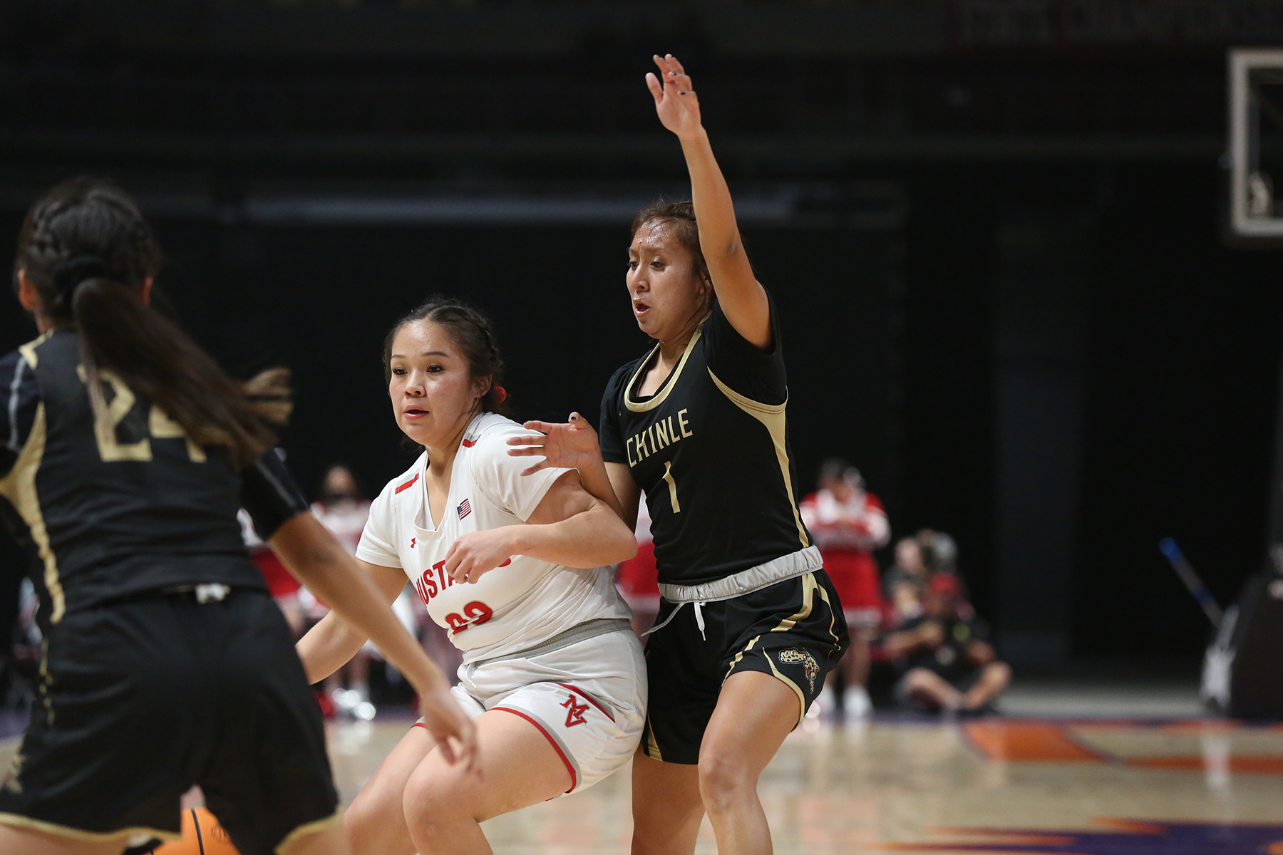 Chinle Wildcats fall to Show Low at 3A State seminfinals NavajoHopi