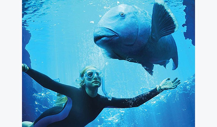Based on Tim Winton’s 1997 novella of the same name, “Blueback” is a complex and emotional film about a mother and daughter’s passion for the ocean and each other. Mia Wasikowska, Radha Mitchell and Eric Bana star in this poignant, visually stunning film that serves as a beautiful reminder of the power within all of us to make a difference.