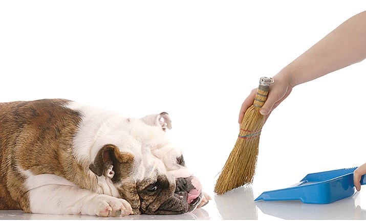 (Courier stock photo)