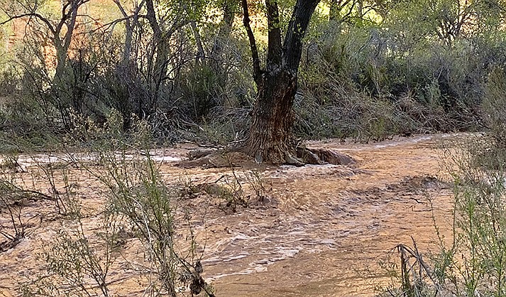 In this photo provided by Shannon Castellano, floodwaters, which washed away a bridge to a campground, flow through the Havasupai Indian Reservation in Arizona on Friday, March 17, 2023. (Shannon Castellano via AP)