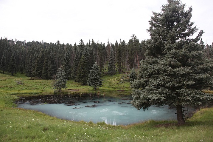 Alamo Canyon Pond in Valles Caldera National Preserve. A 1970s-era natural gas pipeline through the preserve has been recently decommissioned and preparations made for re-wilding the area. (Photo/NPS)