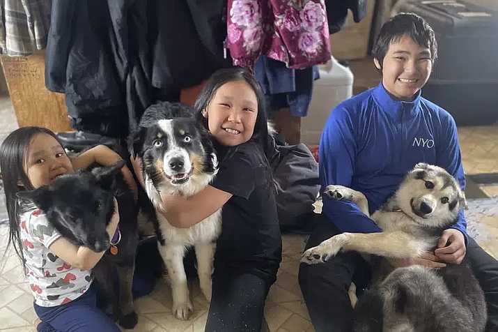 In this photo provided by Mandy Iworrigan is Nanuq, in the middle with Brooklyn Faith, after the 1-year-old Australian shepherd was returned to Gambell, Alaska, on April 6, 2023, after it disappeared for a month and walked on the Bering Sea ice 150 miles to Wales, Alaska. On the left is Zoey with Starlight and on the right is Ty with Kujo. (Mandy Iworrigan via AP)