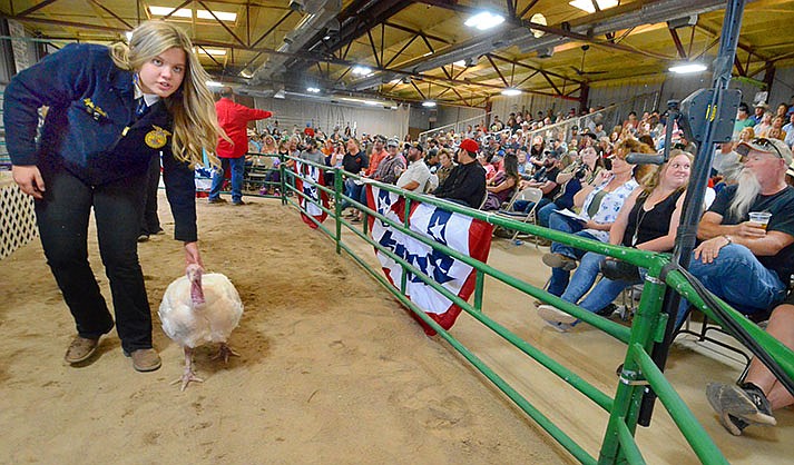 Lydie Bleak, a sophomore at Camp Verde High School, shows her turkey Jenny at the Verde Valley Fair Junior Livestock Auction on Saturday. (VVN/Vyto Starinskas)