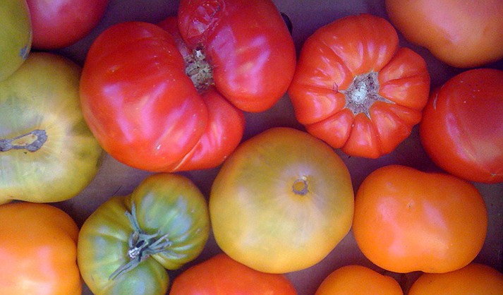 Tomatoes by Los Reyes Farm, participating in the Sedona Farmers Market. (Courtesy photo)