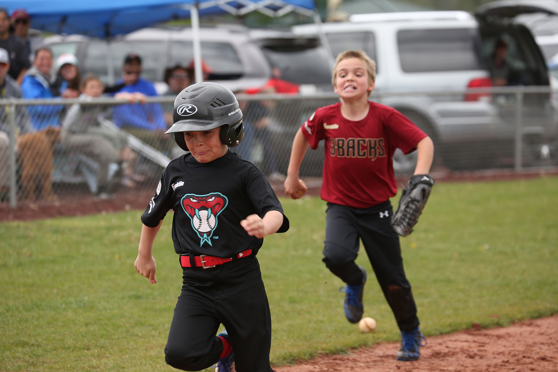 Play ball! Williams Little League brings the fun to the baseball