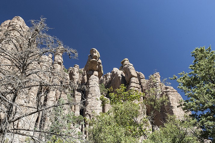 Rhyolite Canyon Tuff at Chiricahua National Monument is a volcanic rock formed from a volcanic eruption 27 million years ago. (Photo courtesy of National Park Service)