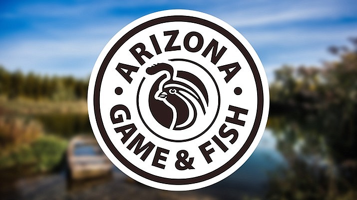 Arizona Game and Fish Department. (Courtesy)