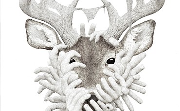 article preview image
