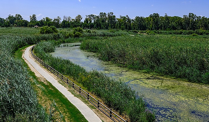 The Hula wetlands in north Israel. (Adobe/stock)