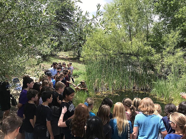 Granite Mountain School students and their teacher watch as the Gila topminnows swim from the release site throughout the pond habitat. (Courtesy photo)