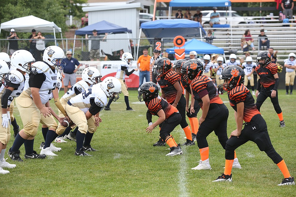 Williams Youth Football Bengals and Tigers hit the field, Williams-Grand  Canyon News