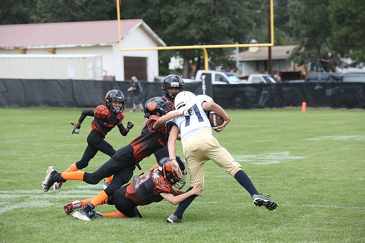 Mighty but loud: Bengals cheer rallies the crowd, Williams-Grand Canyon  News