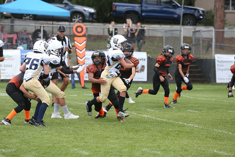 Bengals and Tigers youth football prepares for season, Williams-Grand  Canyon News