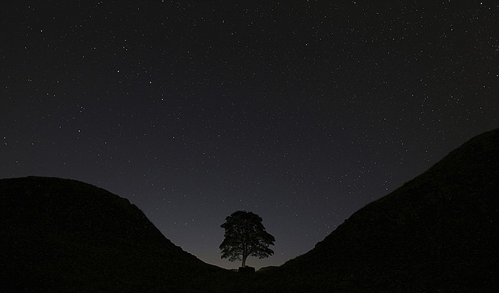 A general view of the stars above Sycamore Gap, prior to the Perseid Meteor Shower above Hadrian's Wall near Bardon Mill, England, on Aug. 13, 2015. One of the UK’s most photographed trees has been “deliberately felled” in an apparent act of vandalism, authorities have said Thursday Sept. 28, 2023. (AP Photo/Scott Heppell, File)