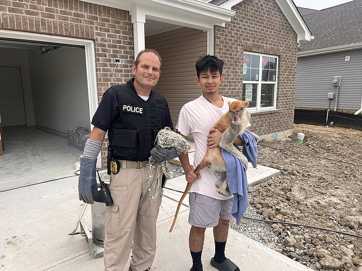 This photo provided by the Indianapolis Metropolitan Police Department shows IMPD officer Lt. William Carter, left, with an unidentified person holding a monkey, which is named Momo, in Indianapolis, Thursday, Oct. 5, 2023. The monkey spurred an hours-long search on Indianapolis' east side after he escaped Wednesday, Oct. 4, from his owner's property. (Indianapolis Metropolitan Police Department via AP)