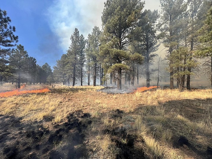 Forest managers throughout Arizona have been conducting prescribed fires as cooler temperatures and calm days have arrived. Coconino National Forest is conducting burns north of Bellemont this week, as well as Lake Mary and Mormon Lake. Kaibab National Forest ignited several burns over the past few weeks, but announced they had accomplished their fall prescribed fire goals and objectives for the 2023 year, treating a total of 16,251 acres in the month of October. (Photo/Coconino National Forest)