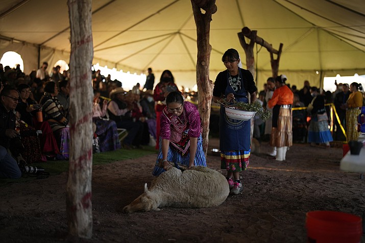 Miss Navajo Nation pageant contestant Amy Begaye, left, prepares a sheep with help from Kashlynn Benally during a sheep-butchering contest, Sept. 4 in Window Rock. (AP Photo/John Locher)