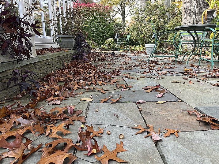 A backyard patio is littered with fallen oak leaves. What should you do? (Jessica Damiano/AP)