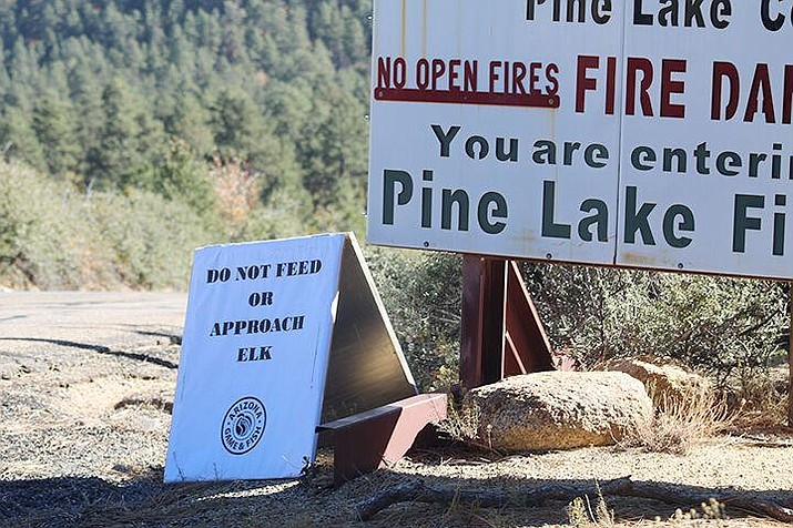 Following the death of a local woman, Game & Fish officers put up two roadside signs in Pine Lake to advise people not to approach or feed elk. (Chelsea McDonough/Kingman Miner)