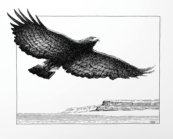 The pen-and-ink drawing by Igor Kogen is the new winner in the 2024 Verde Valley Birding & Nature Festival’s Call to Artists after the original winner caused controversy over artificial intelligence. (Courtesy Friends of the Verde River)