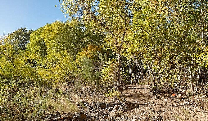 New trails near the Verde River will allow more people to experience this ecologically diverse riparian zone. (Photo/Arizona State Parks & Trails)
