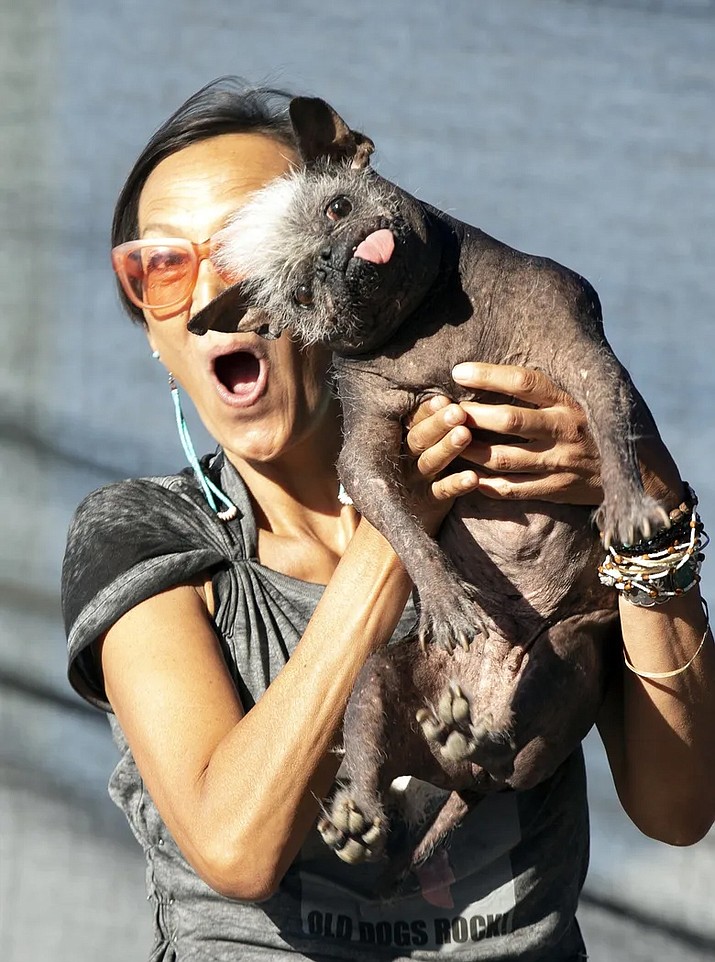 Jeneda Benally and Mr. Happy Face. Benally rescued Mr. Happy Face from Tuba City, and he found fame in June 2022. (Photo/World’s Ugliest Dog)