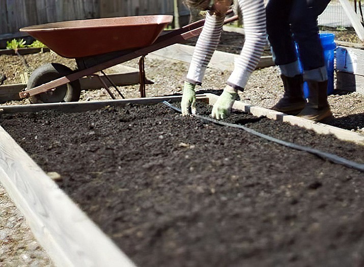 The soil in raised beds, like other garden spaces, needs to be amended annually to restore the soil to proper quality. (Watters Garden/Courtesy photo)