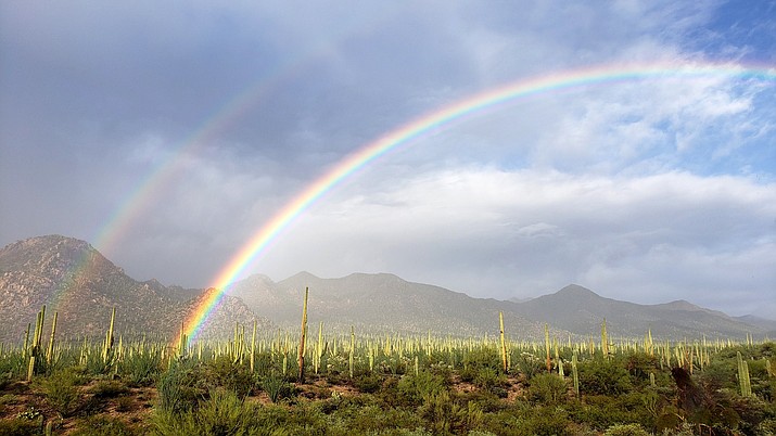 Double Rainbow from the Red Hills Visitor Center in Saguaro National Park. (Photo/Jordan Camp, NPS)