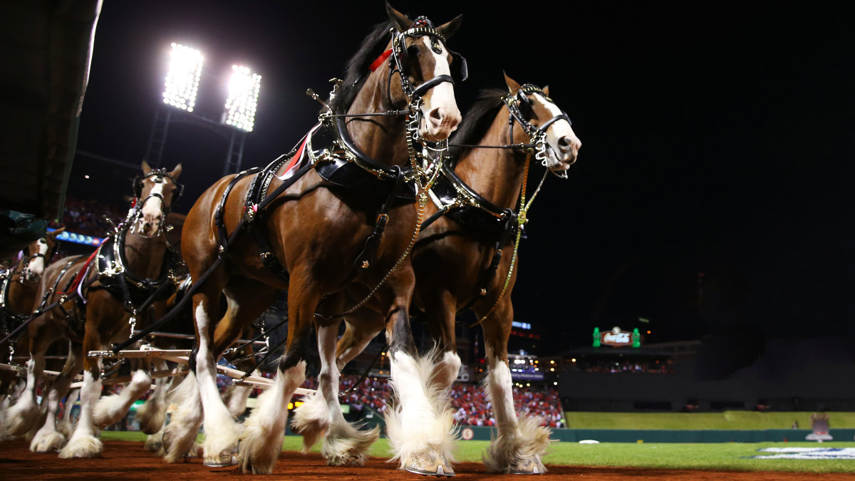 The Budweiser Clydesdales' 24 Best Super Bowl Commercials (Including