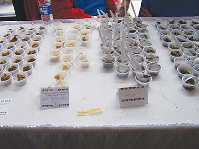 2011 Hopi Agricultural Expo (39)