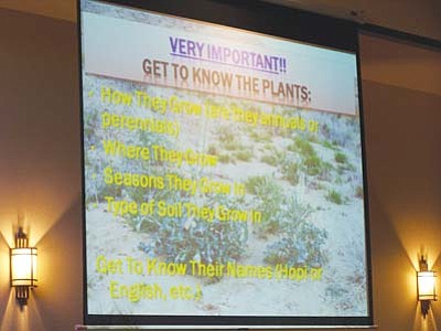 2011 Hopi Agricultural Expo (75)