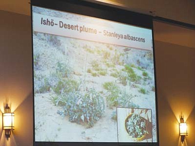 2011 Hopi Agricultural Expo (80)