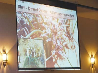 2011 Hopi Agricultural Expo (82)