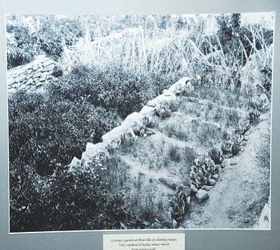 2011 Hopi Agricultural Expo (92)