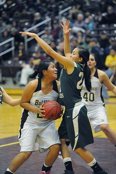 Winslow Basketball Flag (4)