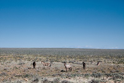 Confluence site (1)