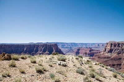 Confluence site (10)