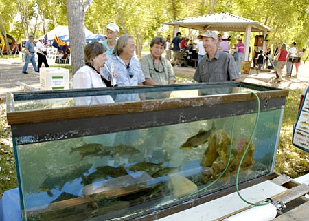 Verde-River-Days-2009.131
