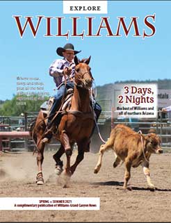 Williams Tour Guide Cover